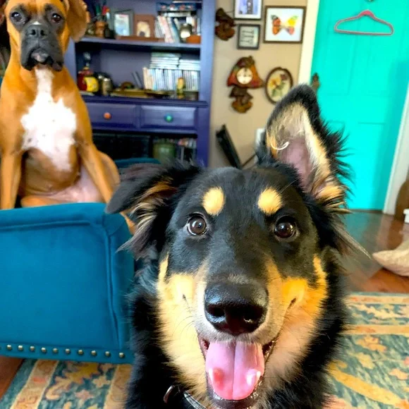 Meet Your Posher - Picture 1 of 3